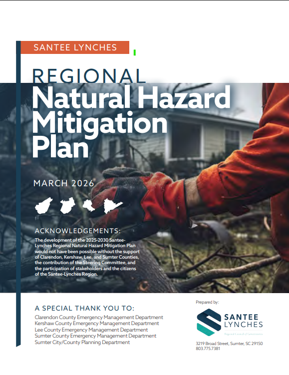 Mitigation Plan